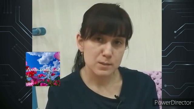 Выращивание рукколы на подоконнике ? смотреть онлайн