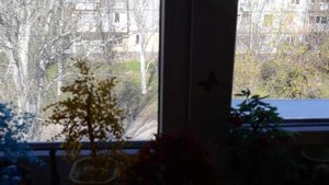 Бисероплетение,  деревья и цветы из бисера. Beadwork, trees and flowers from beads.