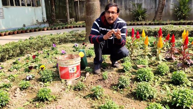 Antirrhinum मे  इस तरह से बहूत सारे फूल पाने का तरीका जानिए / Get Maximum flowers in Antirrhi смотреть онлайн