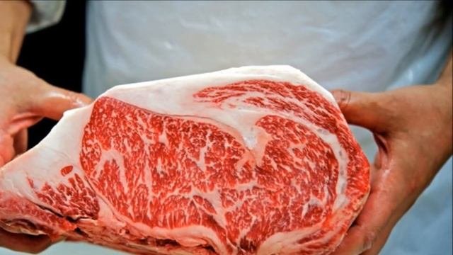 Откорм бычков – перспективная отрасль бизнеса | Мясное скотоводство | Рацион откорма бычков