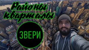 Районы-кварталы Cover Звери