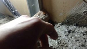 Баня мечты из заливного полистиролбетона. Часть 2