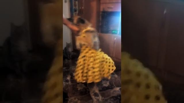 2 апреля 2019 г. смотреть онлайн