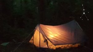 Сверчки, Цикады... Звуки сверчков и цикад для сна и отдыха. Звуки природы разных частей света Relax