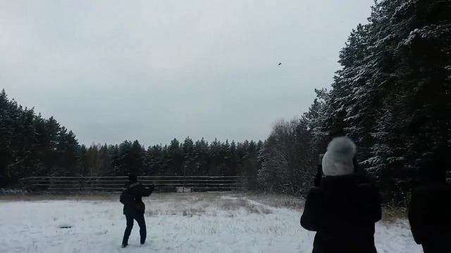ШОК! Нападение сокола на человека.