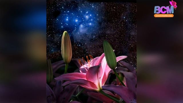 красивых снов смотреть онлайн