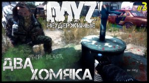 #3 НЕ СОЛО. ДВА ХОМЯКА НА СЗ - DayZ Неудержимые ВЫЖИВАНИЕ СЕРИАЛ (лето, нулячий сервер, 3 серия)