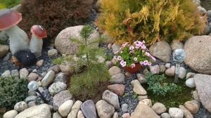 Мои новые находки озеленения приусадебного участка.