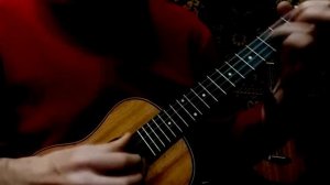 ''Черемшина'' на гавайской гитаре