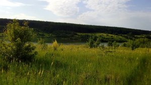 Река Дон , около Задонска Липецкая обл и окрестности.