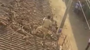 Полицейский прыгнул с крыши, чтобы убежать от леопарда