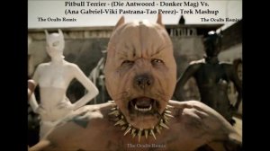 Pitbull Terrier Die Antwoord Donker Mag Vs The Ocults Remix Trek Mashup