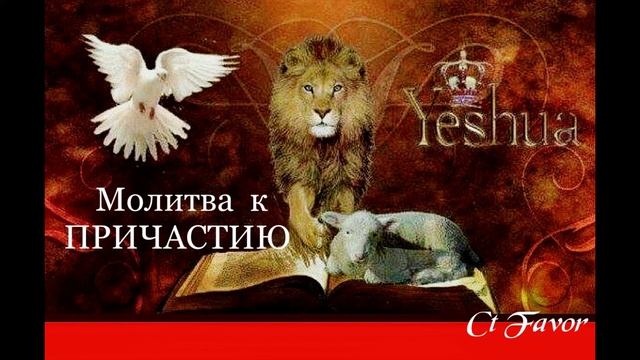Молитва принятия исцеления и благословений по Слову Божьему. #молитваИсцеления #молитва_причастия