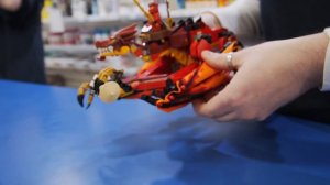 LEGO® 71753 Ninjago Fire Dragon Attack | LEGO® Up Close
