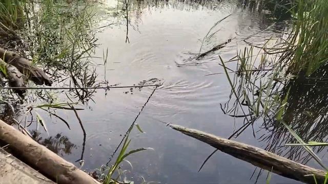 Бросаем поисковый магнит под самым старым автомобильным мостом Липецка смотреть онлайн