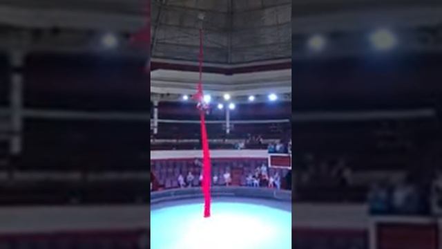 Тищенко Мария г. Одесса смотреть онлайн