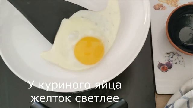 Яйцо куриное и яйцо цесарки: чем они отличаются?