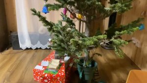 ?Наш Новый год 2021??