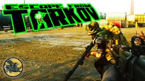 Тамога, на карте были только Дикие ! Escape from Tarkov