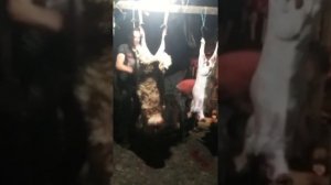 как правильно и быстро обдирать овец горный аул