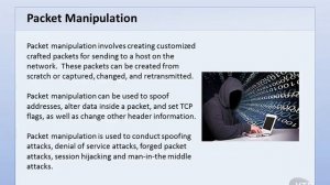 059 Packet Manipulation