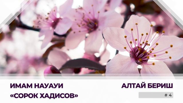 Сорок Хадисов - 4 (Три вида Единобожия. Столпы Ислама. Продолжение 2 хадиса). Алтай Бериш