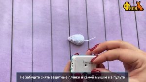 Мышка на пульте управления. Разбуди своего зверя!