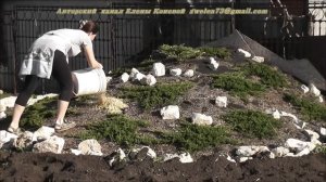 Садовый измельчитель AL-KO New Tec 2500R. Садовая техника.