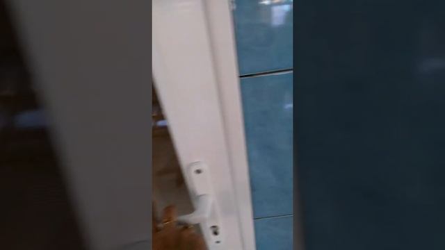 Одесская обл.Каралино Бугаз,оздоровительный центр для взрослых и детей,Шурави. смотреть онлайн