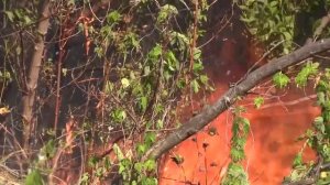 Единая государственная система предупреждения и ликвидации ЧС в Оренбуржье в 2021 году