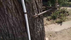 Насос для закачки воды в бак душа