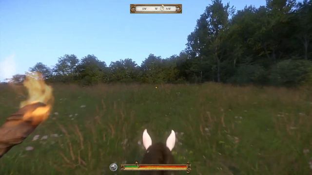 Kingdom Come Deliverance treasure map 24 treasure location смотреть онлайн