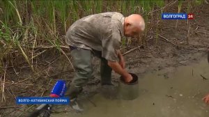 В Волго-Ахтубинской пойме спасают рыбу