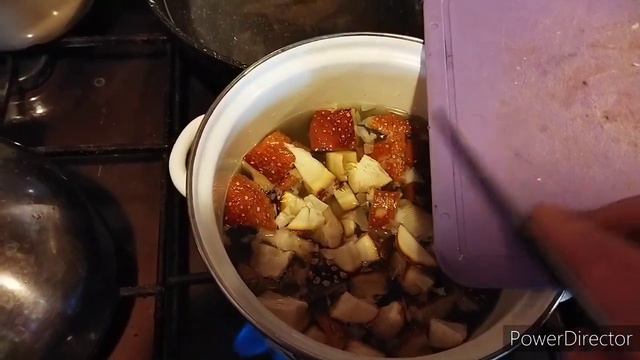 Суп из свежих мухоморов