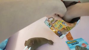 ПОВЕЛИТЕЛИ ЛЬДА/И ЛЕСА ИГРУШКИ ОБЗОР.