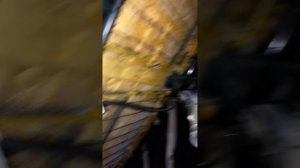 Renault Trafic 2, Df 158 front passenger pretensioner circuit.