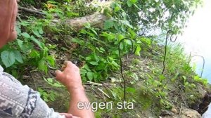 Как сварить хорошую кашу для рыбалки