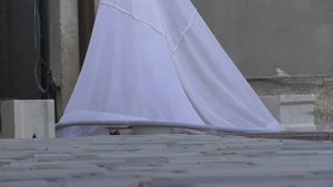 Ловля кошек падающим сачком