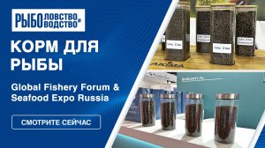 Корм для рыбы | Seafood Expo Russia 2023