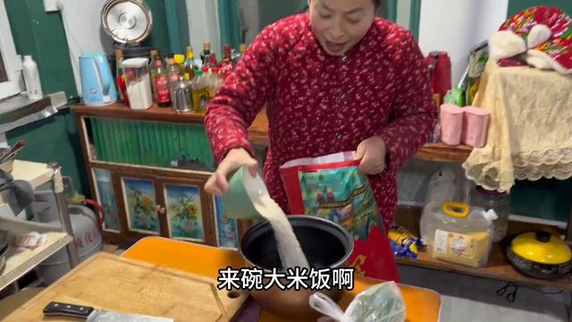 东北农村猫冬生活，翠花家冰柜立起来了，小心易碎，吃碗饭压压惊 смотреть онлайн