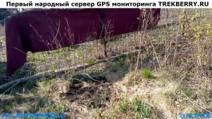 Состояние участка весной 2023