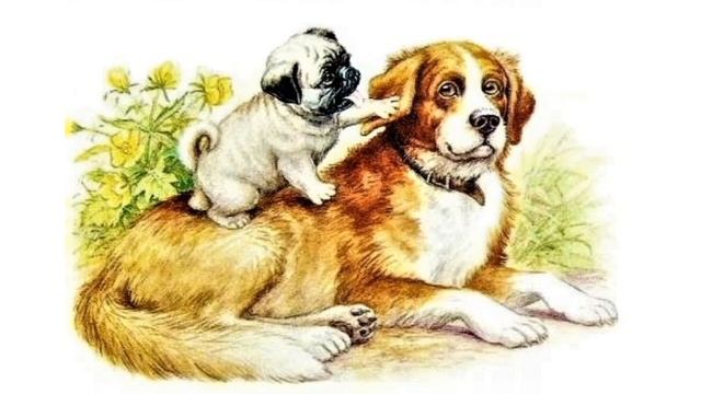 Играющие собаки смотреть онлайн