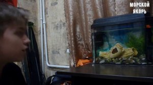 ЗАПУСК СВОЕГО ПЕРВОГО АКВАРИУМА | С ЧЕГО НАЧАТЬ? | #АКВАРИУМ