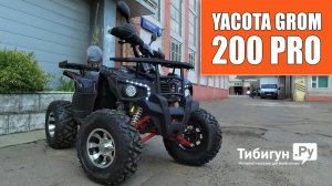 Квадроцикл подростковый - взрослый YAСOTA GROM 200 PRO от магазина Тибигун.Ру