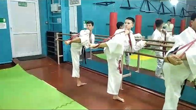 тренеровка тхэквондо