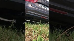 выхлоп Фокс на Весту 1.6