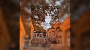 Ёлка - прованс //уютное кафе...// ( speed up )?