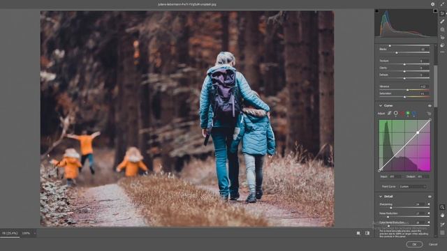 camra raw preset free download | color grading photoshop | Hollywood cinematic tone preset | смотреть онлайн