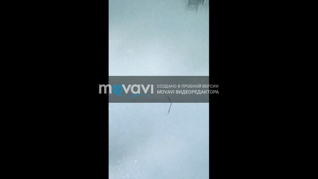 рыбалка жесть раки на удочку смотреть онлайн