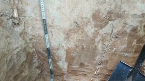 Почвы города Юрьевец (Дерново-подзолистая почва с языковатым переходом)